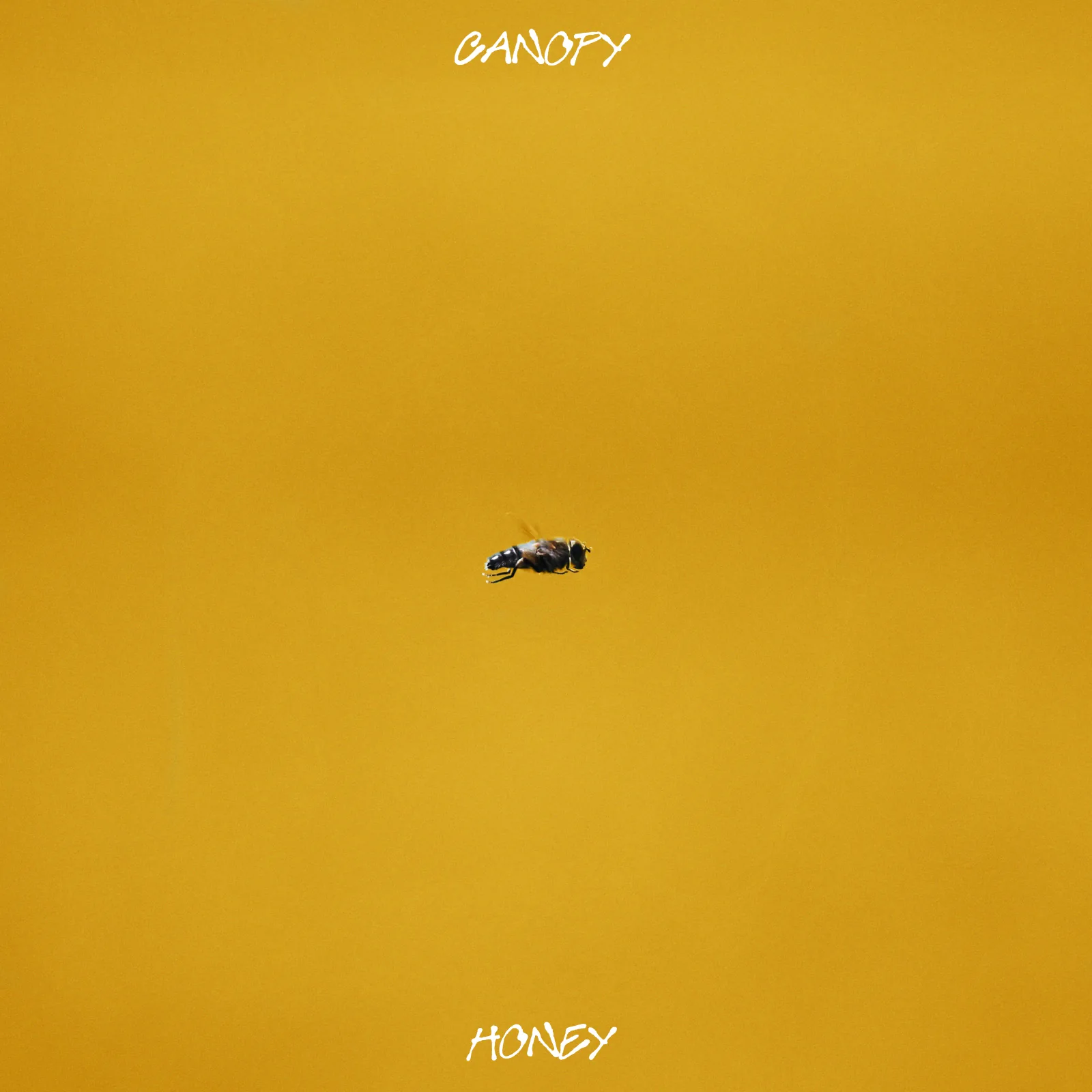 Honey cover art